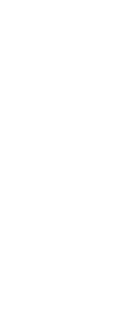 footicon-white